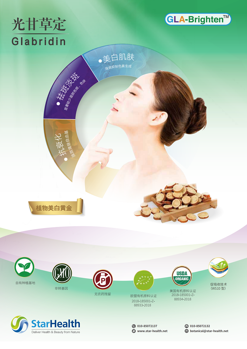 光甘草定40B - Glycyrrhiza glabra