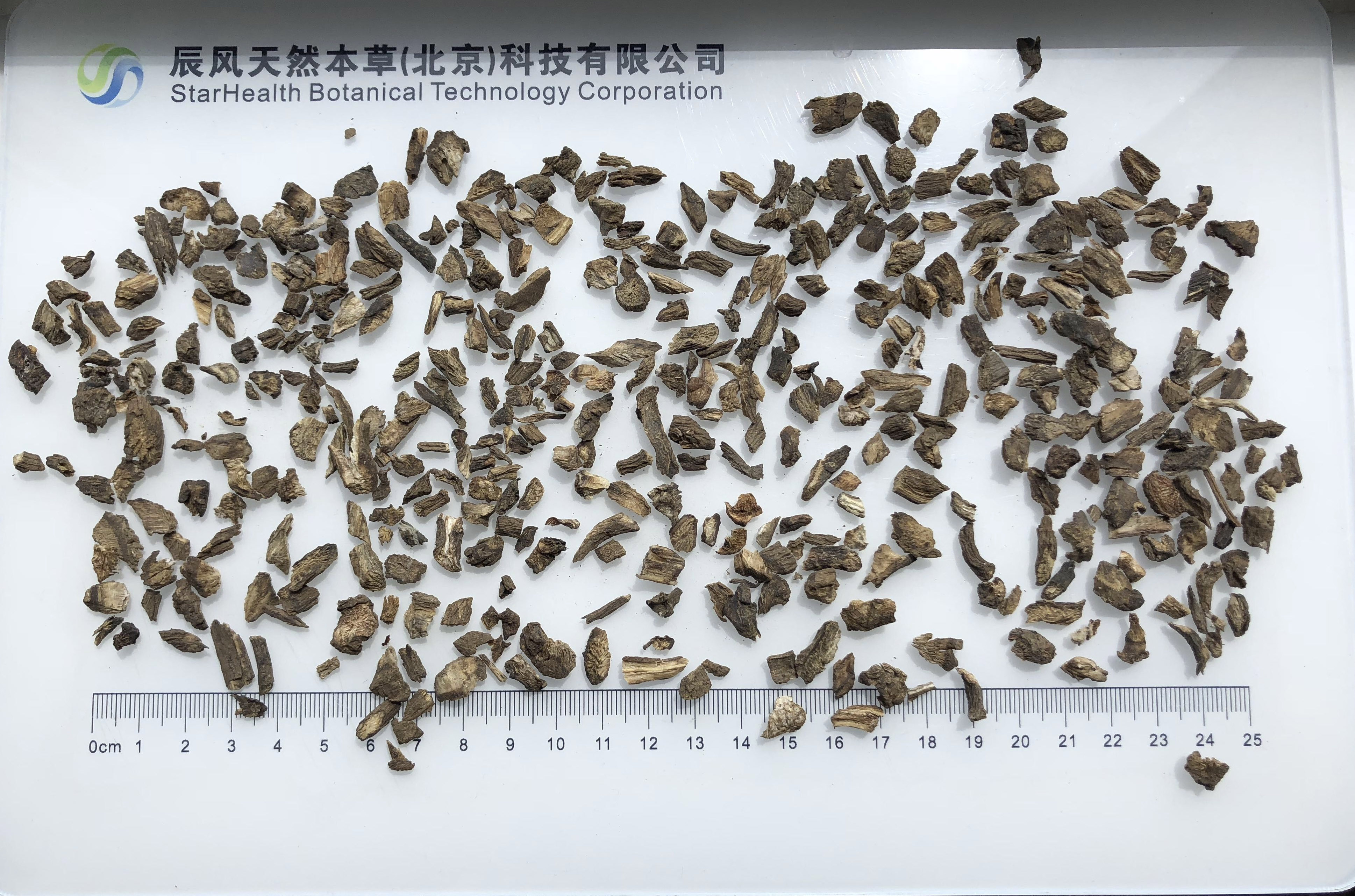 牛蒡根 - Burdock Root